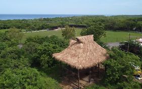 Palapa Hostel