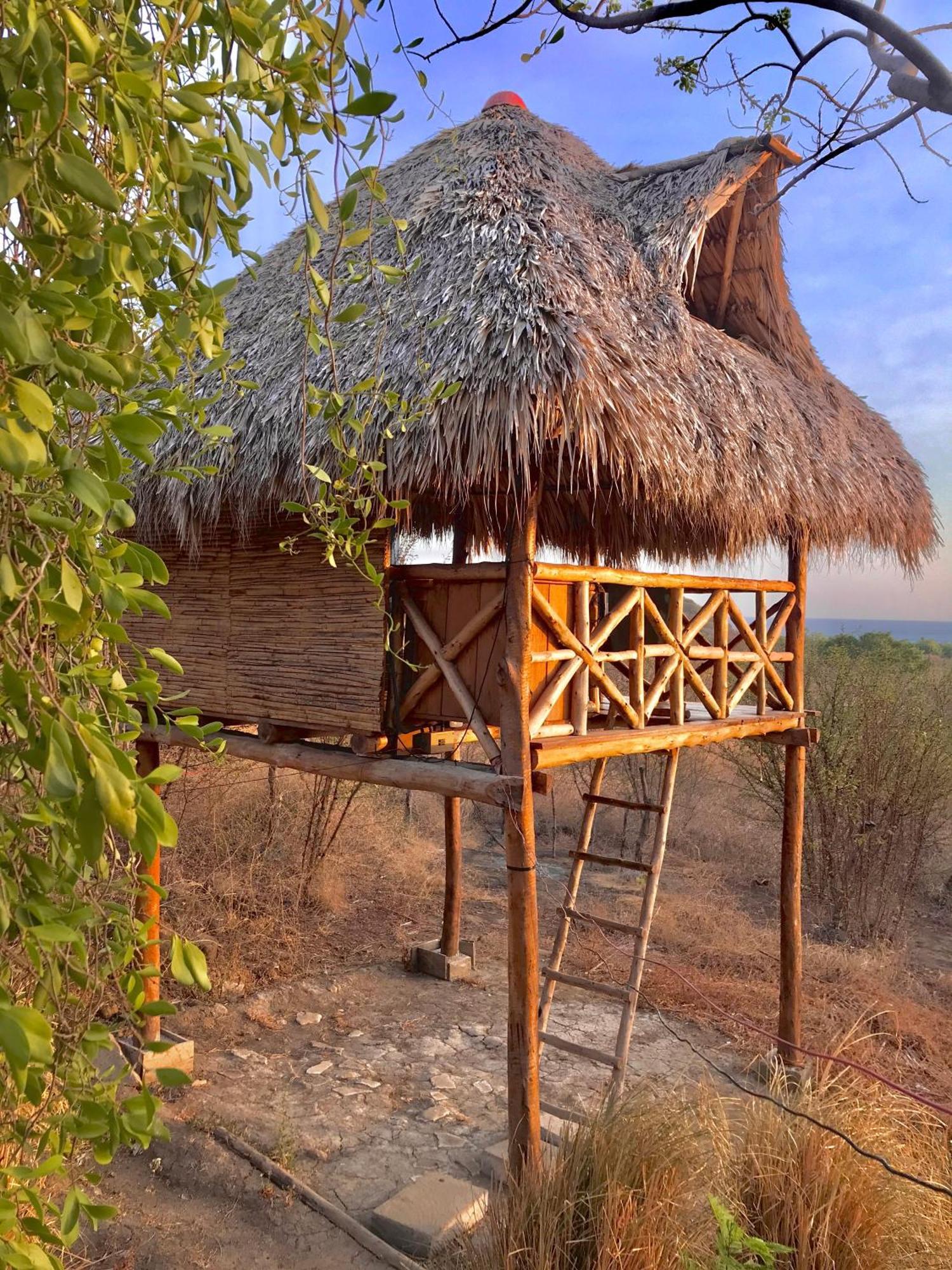 Palapa Hostel Transito Exterior foto