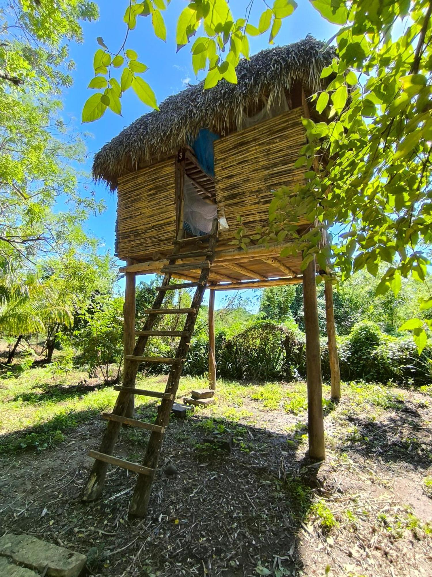 Palapa Hostel Transito Exterior foto